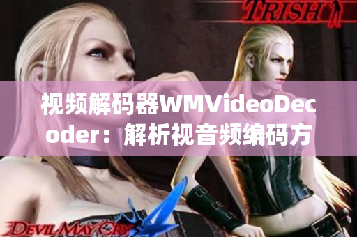 视频解码器WMVideoDecoder：解析视音频编码方式(1)