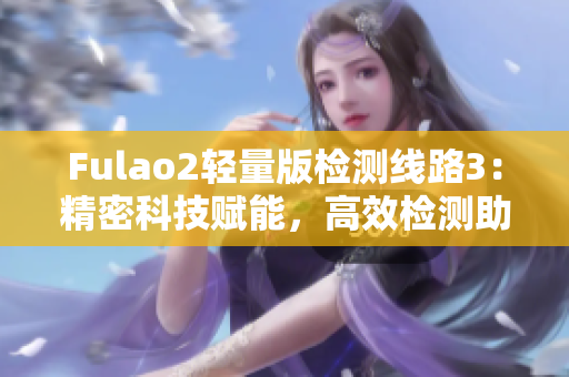 Fulao2轻量版检测线路3：精密科技赋能，高效检测助力