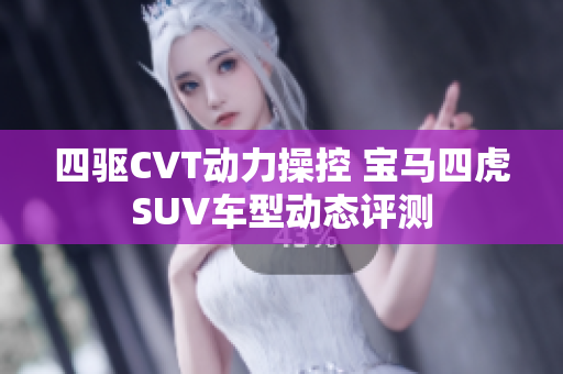 四驱CVT动力操控 宝马四虎SUV车型动态评测