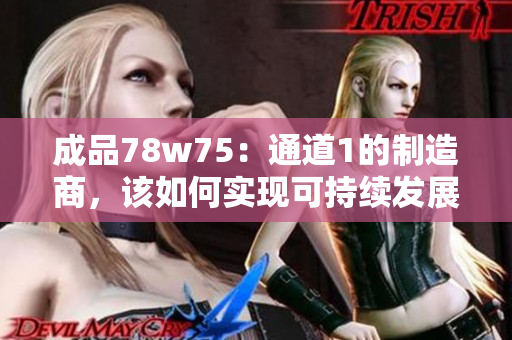 成品78w75：通道1的制造商，该如何实现可持续发展？