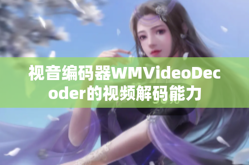 视音编码器WMVideoDecoder的视频解码能力