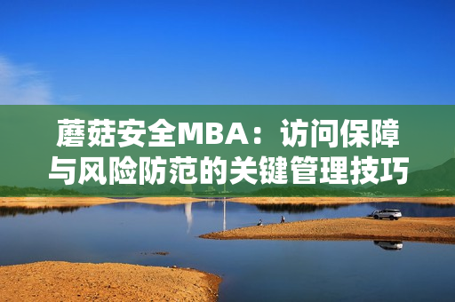 蘑菇安全MBA：访问保障与风险防范的关键管理技巧