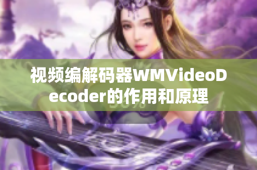 视频编解码器WMVideoDecoder的作用和原理