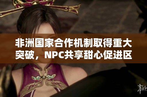 非洲国家合作机制取得重大突破，NPC共享甜心促进区域发展