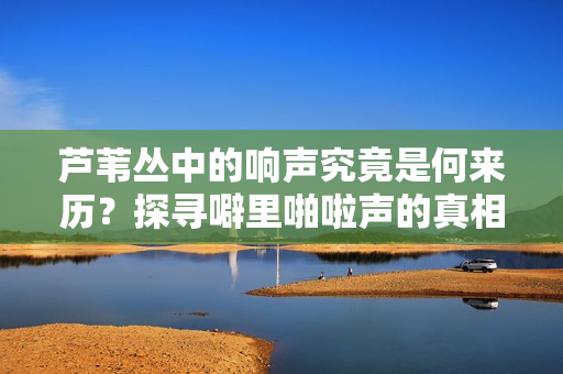 芦苇丛中的响声究竟是何来历？探寻噼里啪啦声的真相