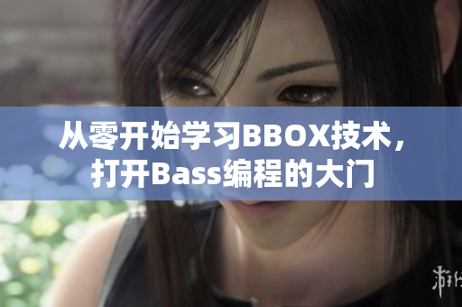 从零开始学习BBOX技术，打开Bass编程的大门