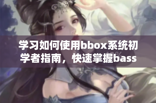 学习如何使用bbox系统初学者指南，快速掌握bass基础知识