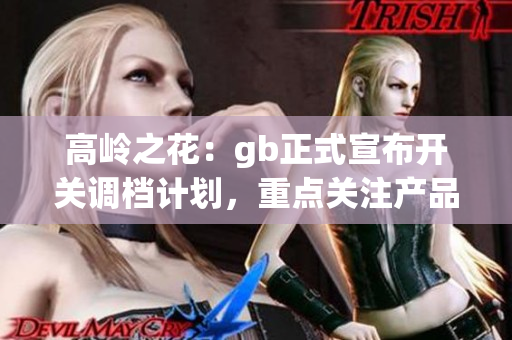 高岭之花：gb正式宣布开关调档计划，重点关注产品升级创新