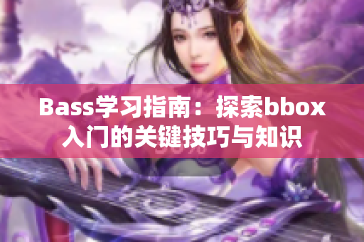 Bass学习指南：探索bbox入门的关键技巧与知识