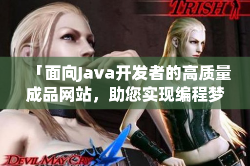 「面向Java开发者的高质量成品网站，助您实现编程梦想」