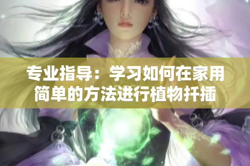 专业指导：学习如何在家用简单的方法进行植物扦插